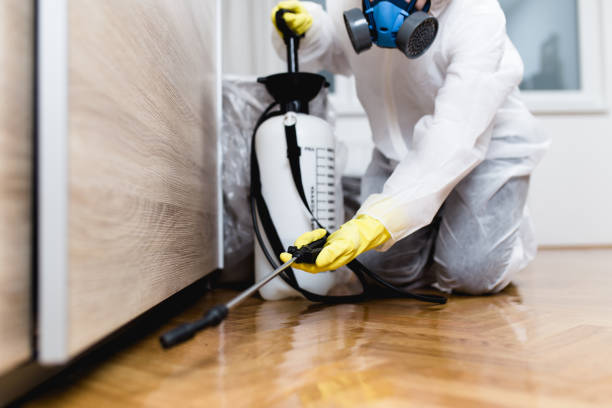 Best Emergency Pest Control  in Shadyside, OH