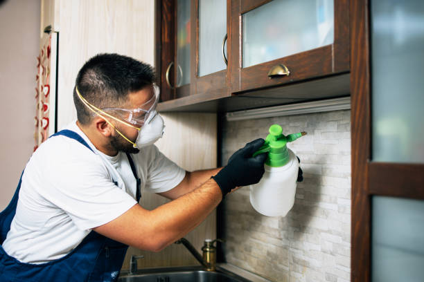 Best Local Pest Control Services  in Shadyside, OH