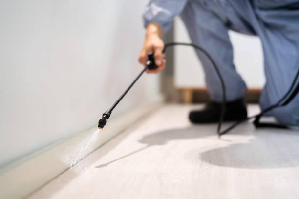 Best Flea Control Services  in Shadyside, OH