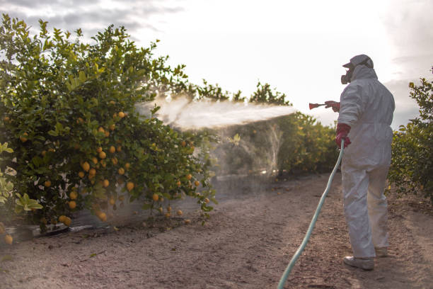 Best Pest Prevention Services  in Shadyside, OH