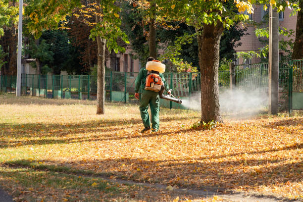 Best Affordable Pest Control Services  in Shadyside, OH
