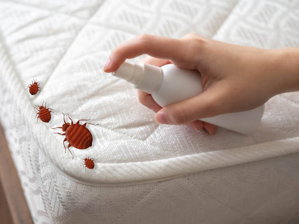 Best Best Pest Control Companies  in Shadyside, OH
