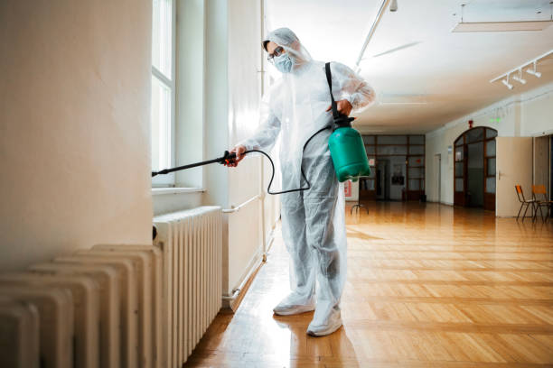Best Flea Control Services  in Shadyside, OH