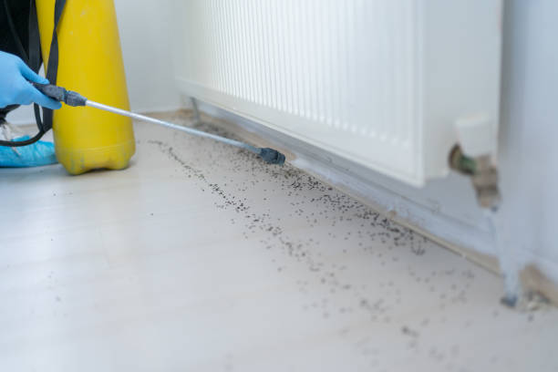 Best Mosquito Control Services  in Shadyside, OH