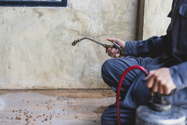 Best Emergency Pest Control  in Shadyside, OH